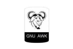 AWK命令切割字符串并返回数组-琼杰笔记